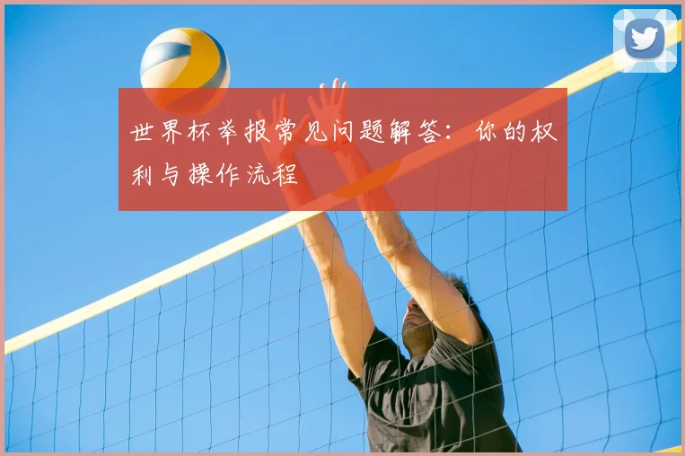 世界杯举报常见问题解答：你的权利与操作流程