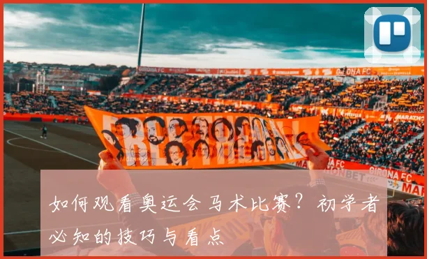 如何观看奥运会马术比赛？初学者必知的技巧与看点