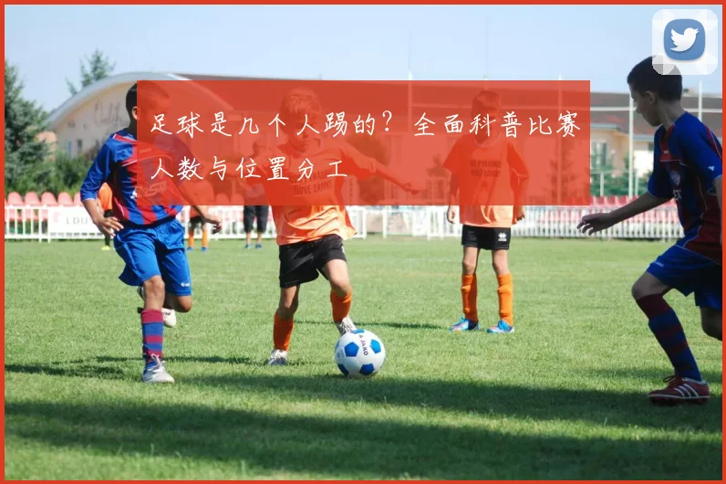 足球是几个人踢的？全面科普比赛人数与位置分工