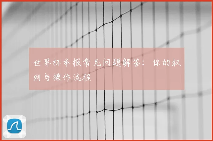 世界杯举报常见问题解答：你的权利与操作流程